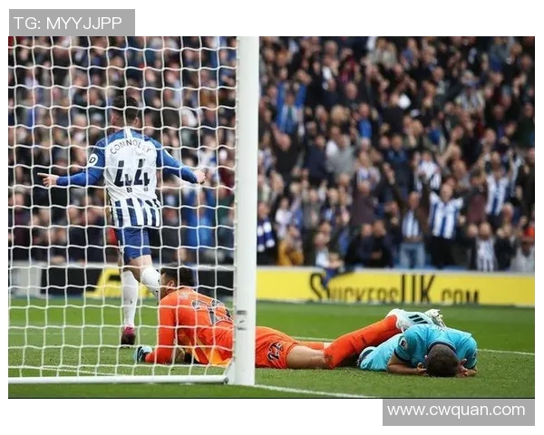 卡马尔与佐加顿斯对决时间揭晓精彩赛事不容错过