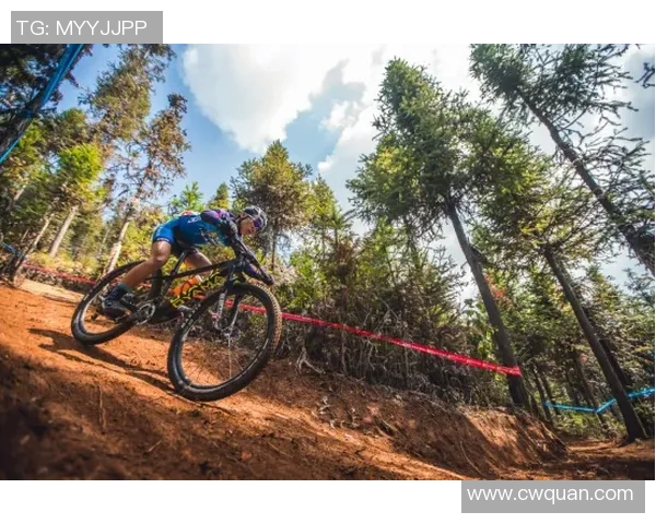 以联赛为中心构建的全新体育生态系统与发展模式探讨