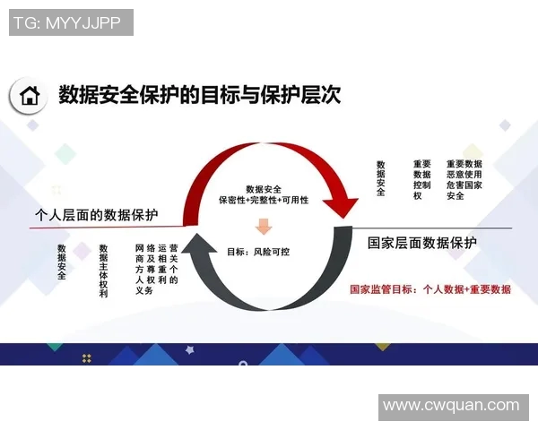 法律视角下的个人隐私保护与数据安全治理路径探析