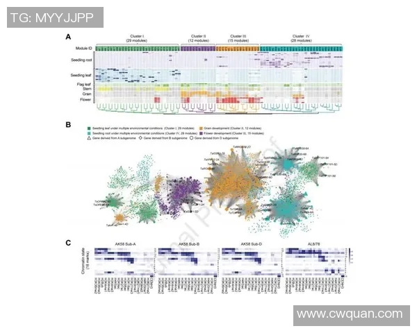 TES在职业联赛中的心理素质表现分析与评价