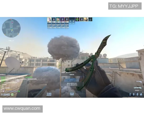 CSGO装备选购指南：最佳游戏手柄推荐与使用体验分享